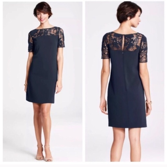 navy lace shift dress